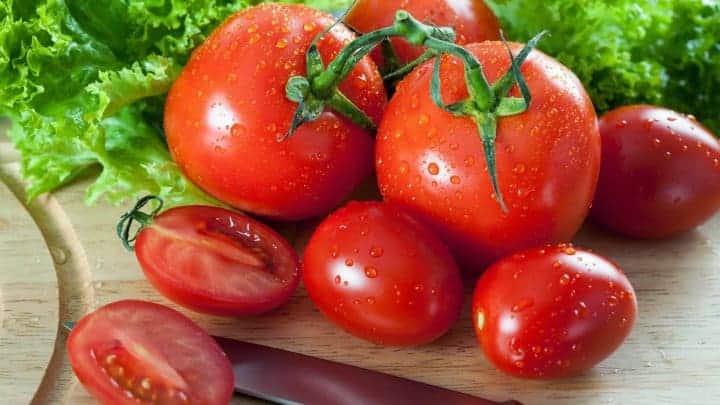 Cum să cultivați roșii în ghivece – chiar și fără grădină