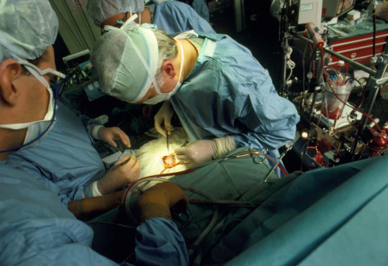 Transplantul de „insule” pancreatice este un tratament inovator pentru diabetici