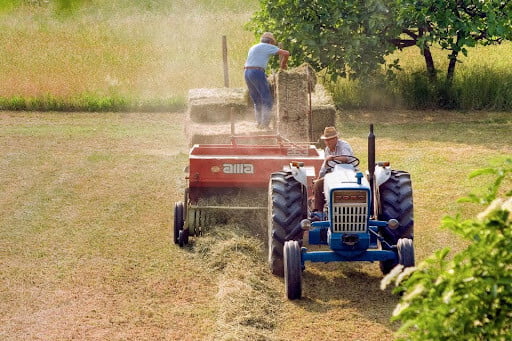 5 investiții necesare pentru cei care se lansează într-o afacere în domeniul agriculturii