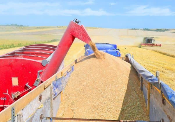 China cumpără cantităţi mari de grâu din Franţa şi Australia