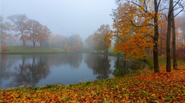 prognoza meteo 30 octombrie 12 noiembrie 2023 866322