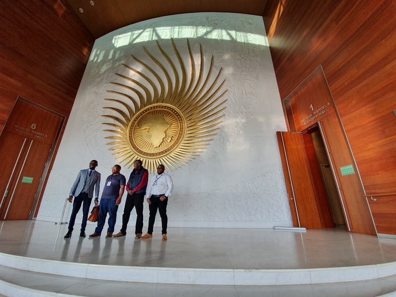 Liderii africani intenţionează să realizeze un plan, la nivelul întregului continent, pentru a cumpăra medicamente