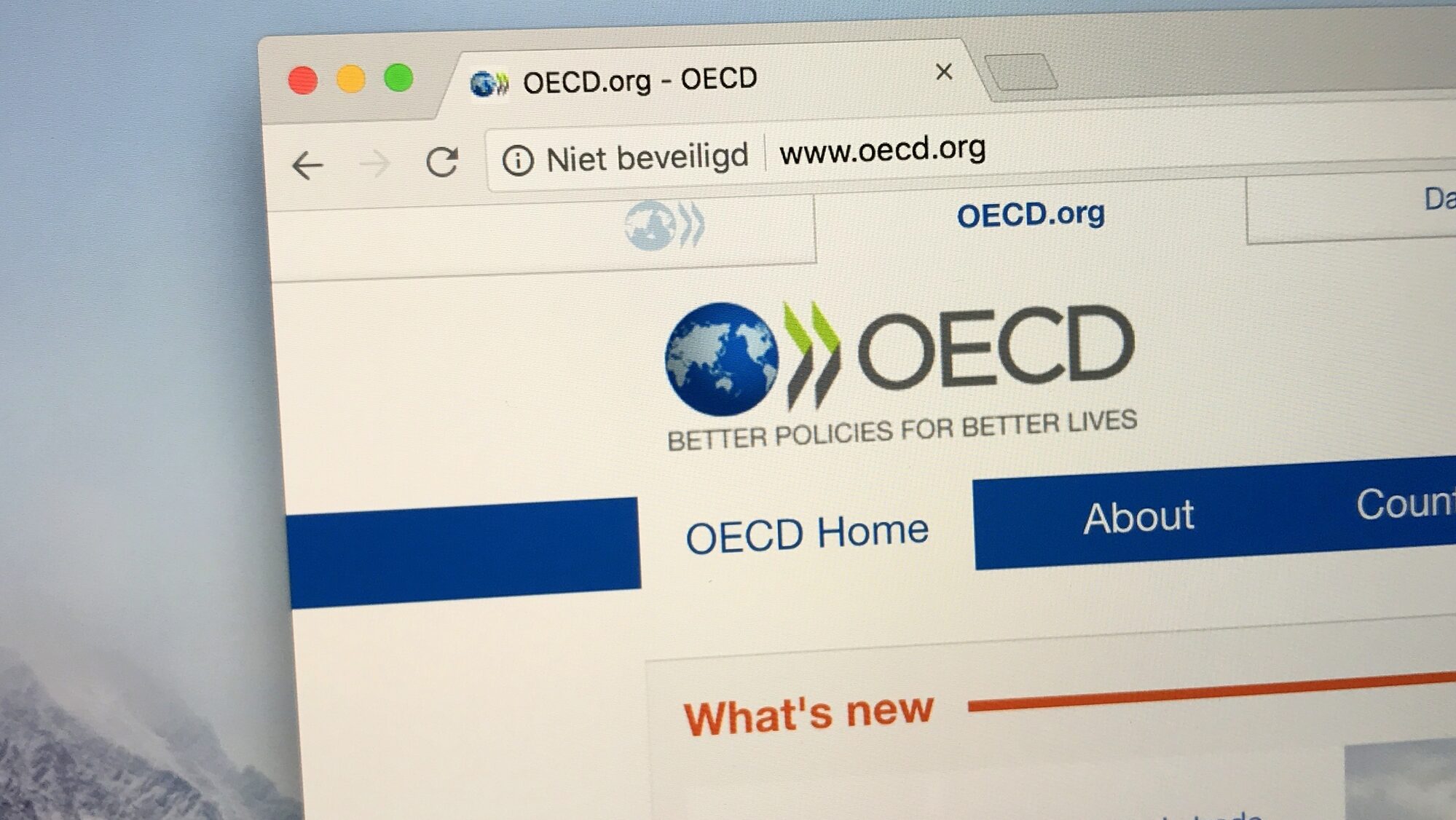 OCDE: Economia şi nivelul de trai au crescut, însă inflația este ridicată în România