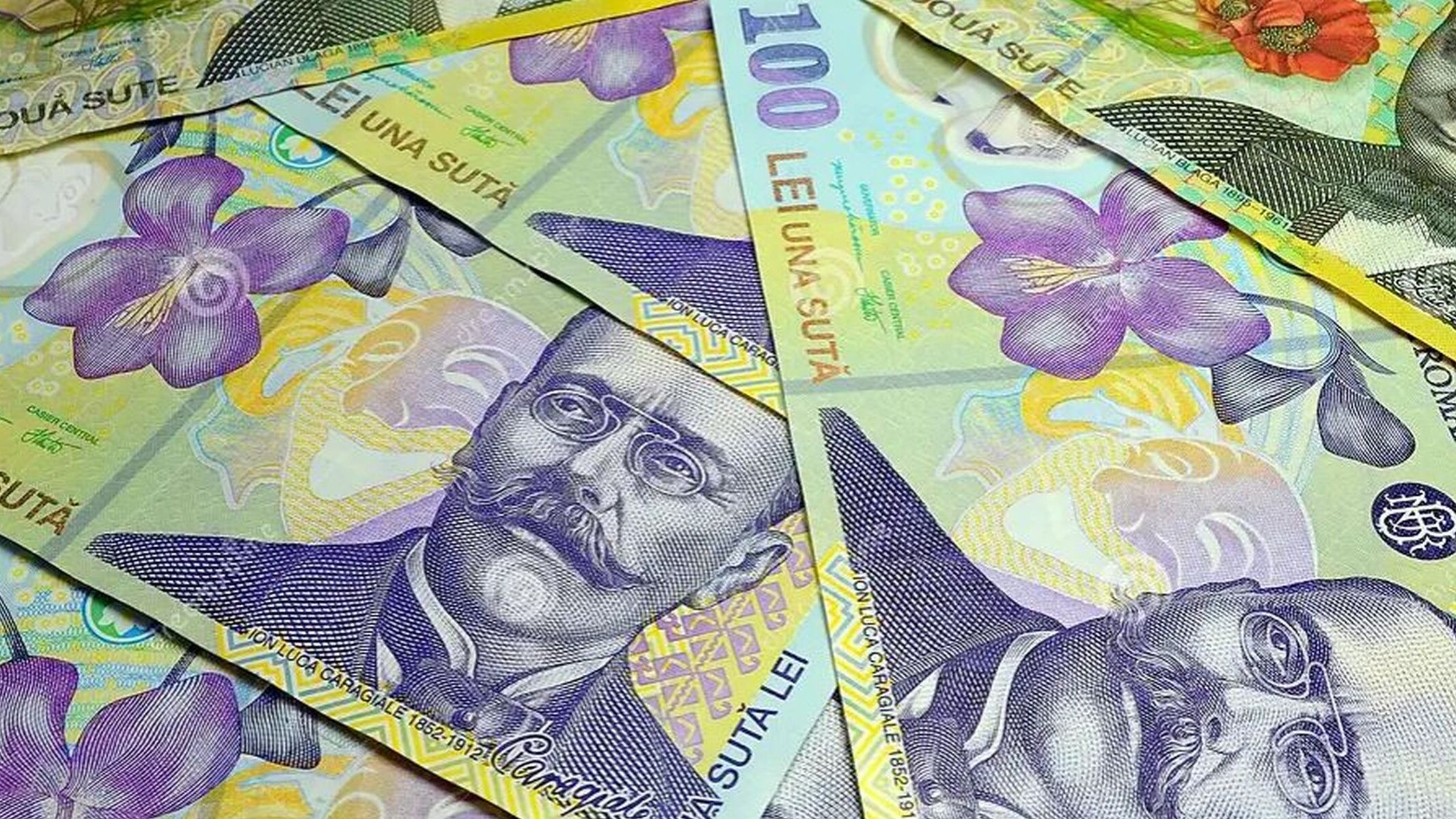 Somona Bucura-Oprescu: Cresc salariile personalului din asistență socială și sănătate
