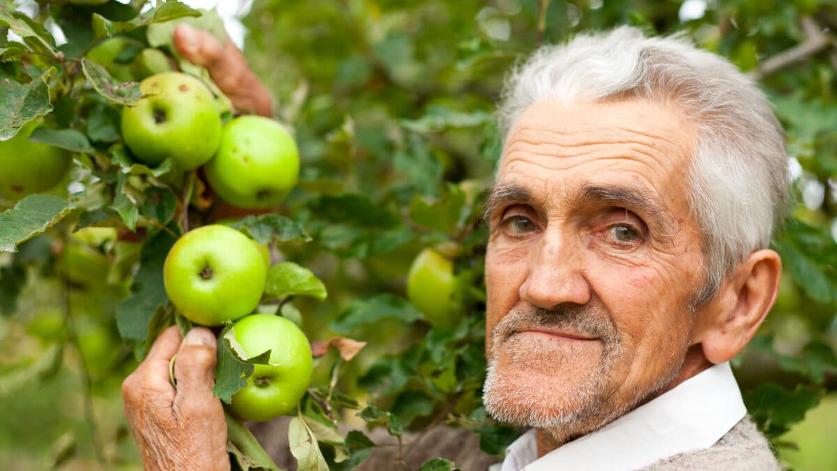 pensii pensie pensia pensionari 1 e1716910562719