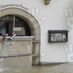 inundatiile catastrofale din germania se extind pe dunare apa a ajuns la un nivel de 10 metri 905759