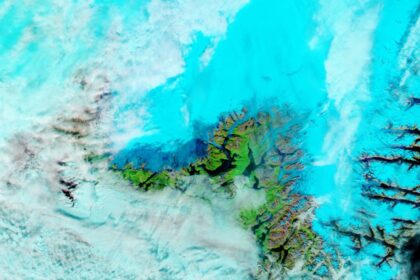 pata albastra groenlanda efecte devastatoare clima europa curentul golfului 909644