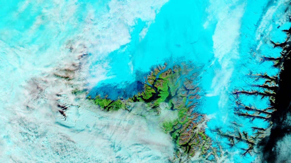 pata albastra groenlanda efecte devastatoare clima europa curentul golfului 909644