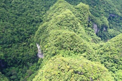 lumea ascunsa de pe fundul dolinelor din china cum traiesc paduri paradisiace sub pamant 915175