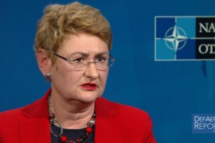 oana lungescu fost purtator de cuvant al nato romania se afla sub umbrela protectoare a aliantei 914512