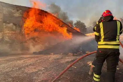 alerta in grecia din cauza incendiilor mai multe orase au fost evacuate pompierii romani ii ajuta pe cei greci sa stinga flacarile 917104