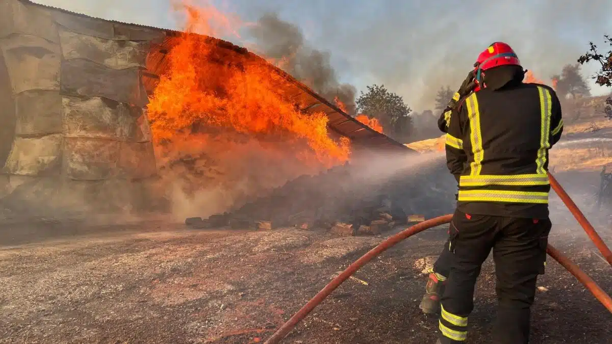 alerta in grecia din cauza incendiilor mai multe orase au fost evacuate pompierii romani ii ajuta pe cei greci sa stinga flacarile 917104