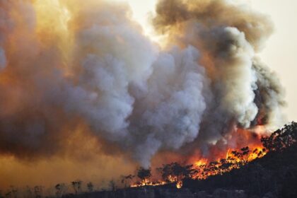 un om a murit in incendiul de vegetatie din colorado iar focul din california se extinde 915556