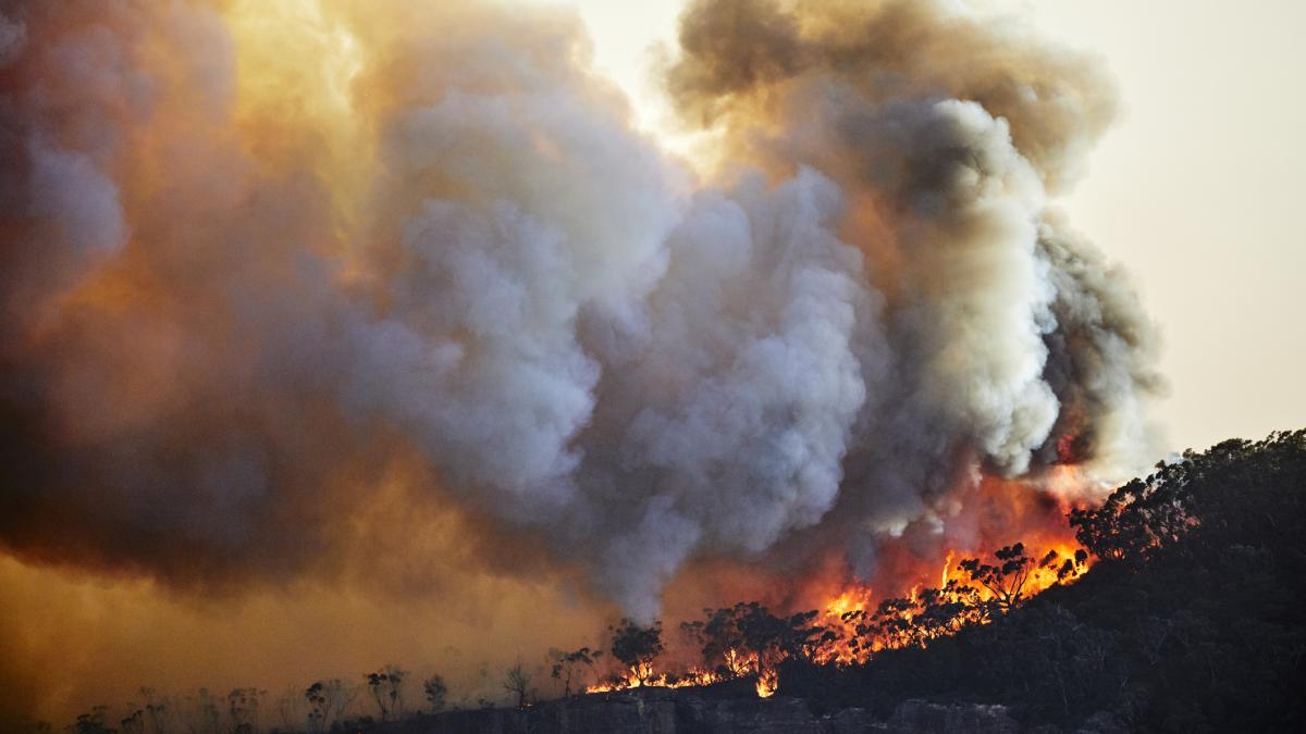 un om a murit in incendiul de vegetatie din colorado iar focul din california se extinde 915556