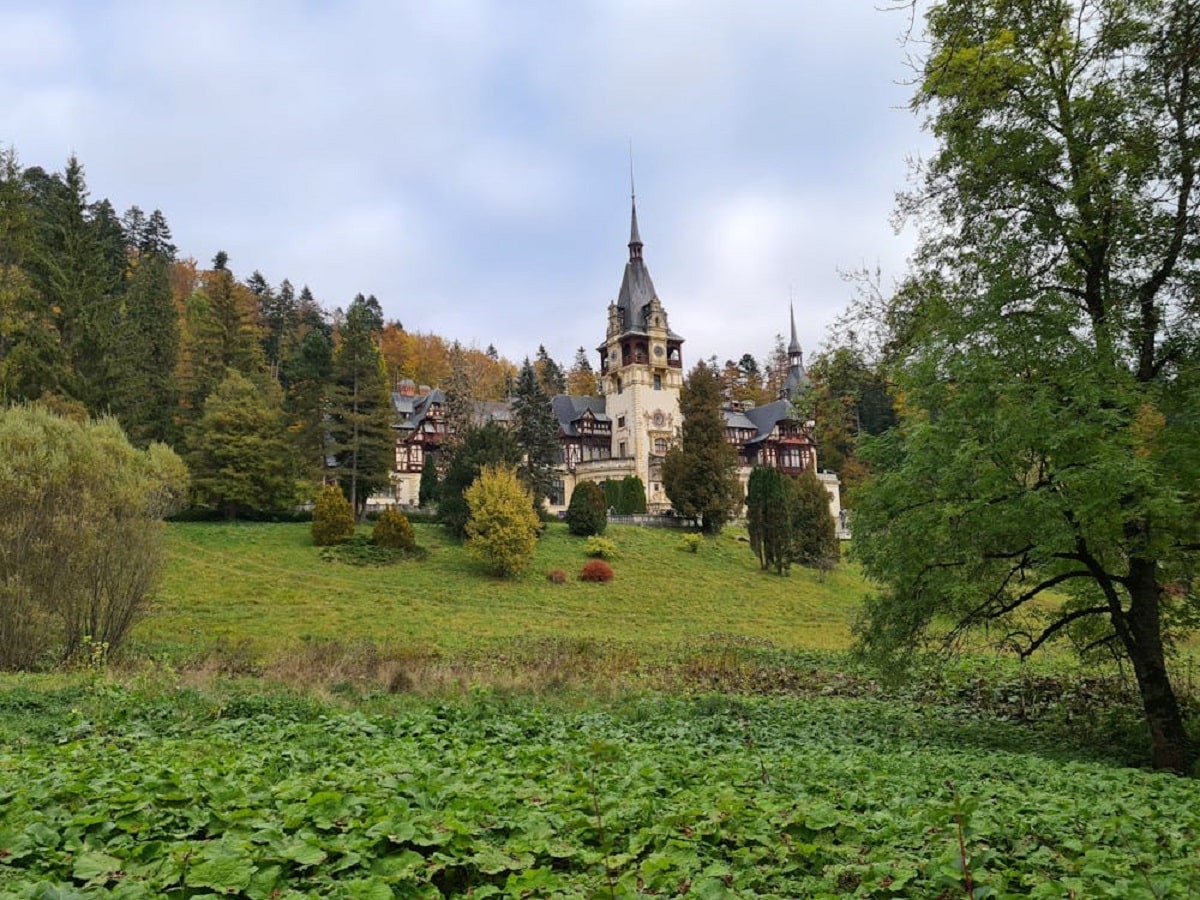 cazare sinaia 2