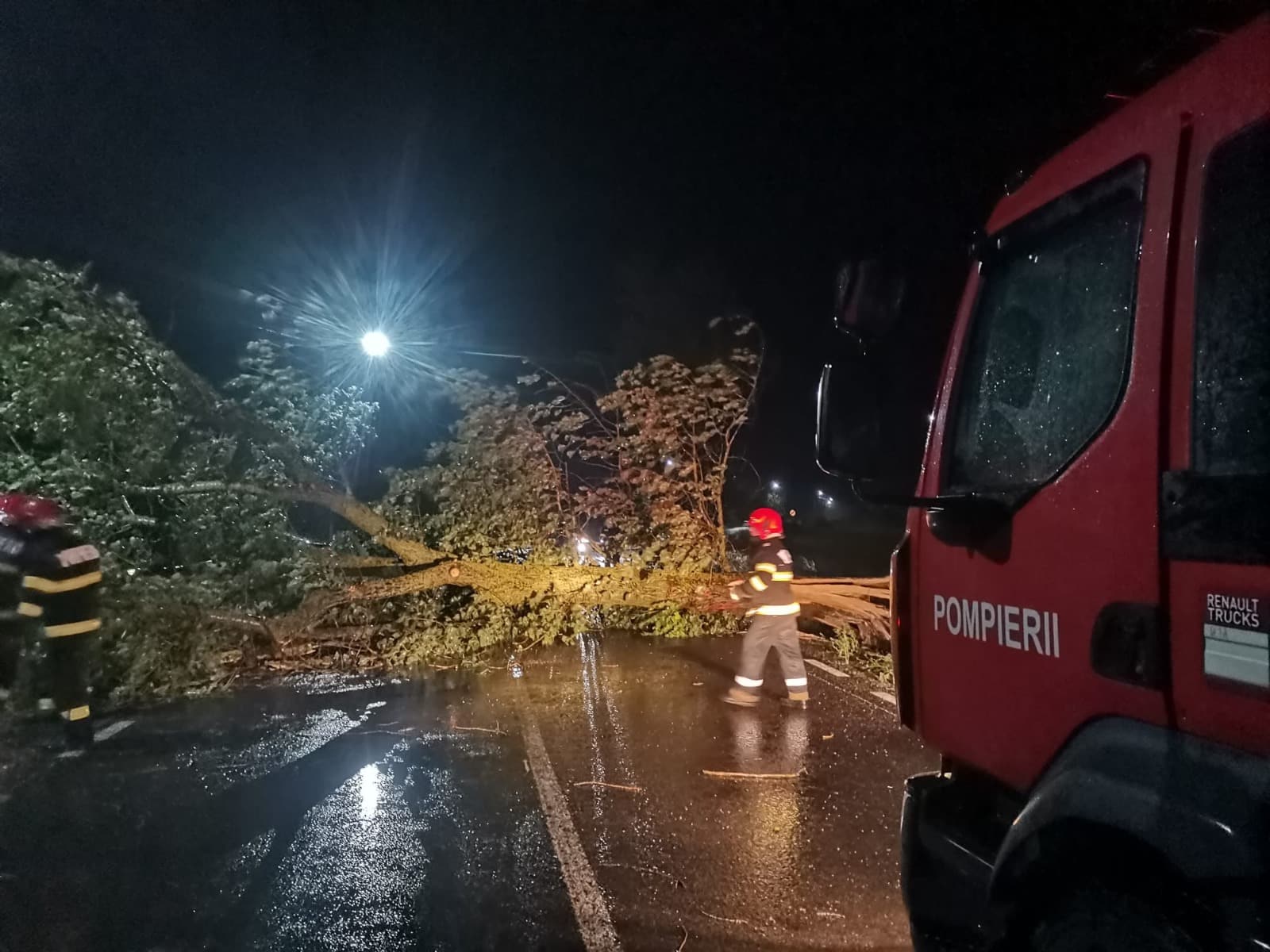 Dezastru în București! Rafalele au doborât copaci și acoperișuri: peste 100 de intervenții ale pompierilor