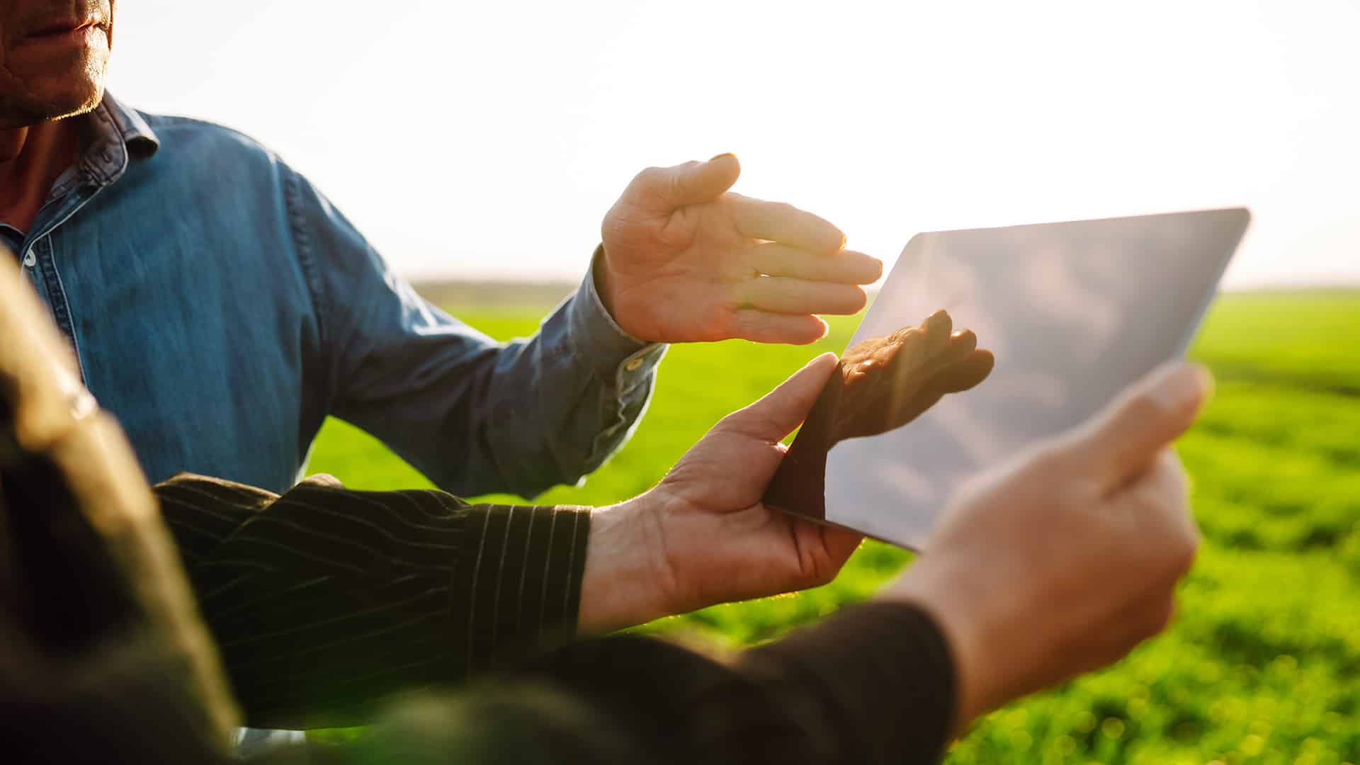 Tehnologii moderne care îți ușurează munca în agricultură