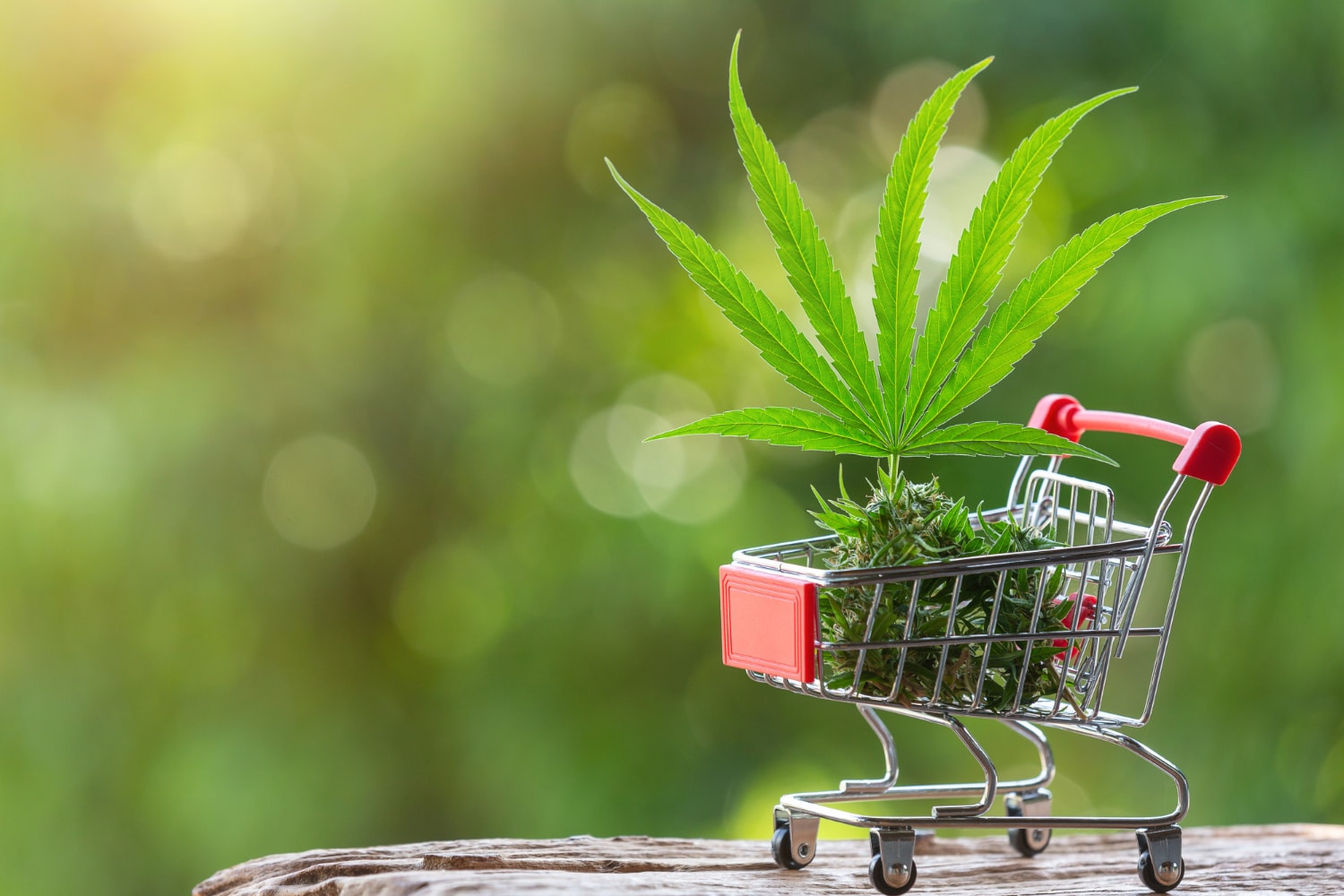 Companiile de canabis din SUA primesc vești bune de la autorități