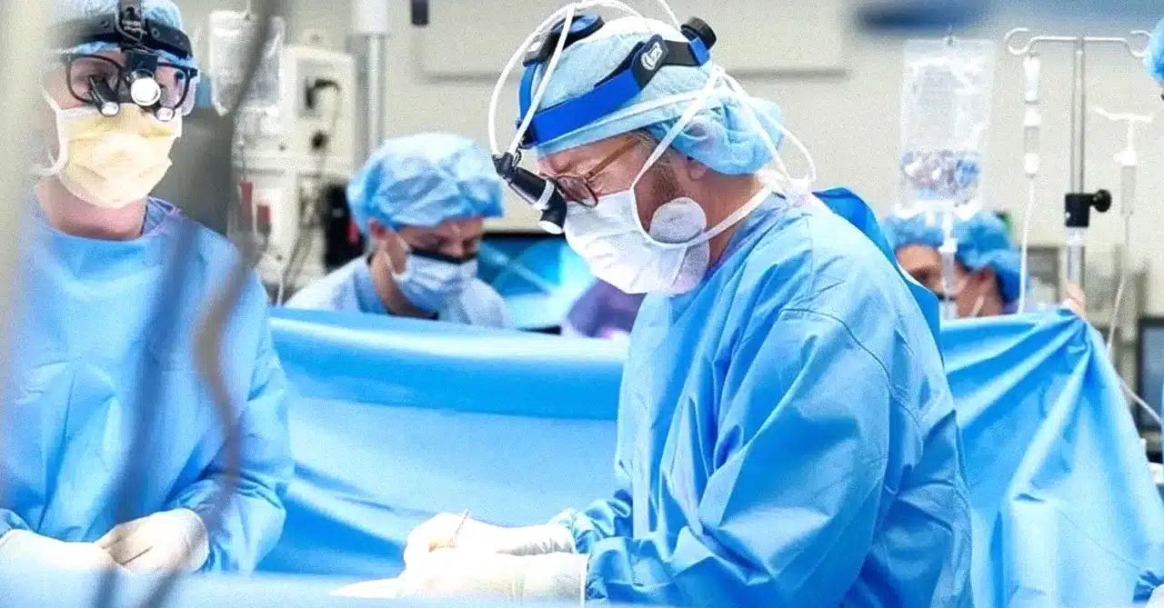 Cum ar putea xenotransplantul să schimbe viitorul transplanturilor
