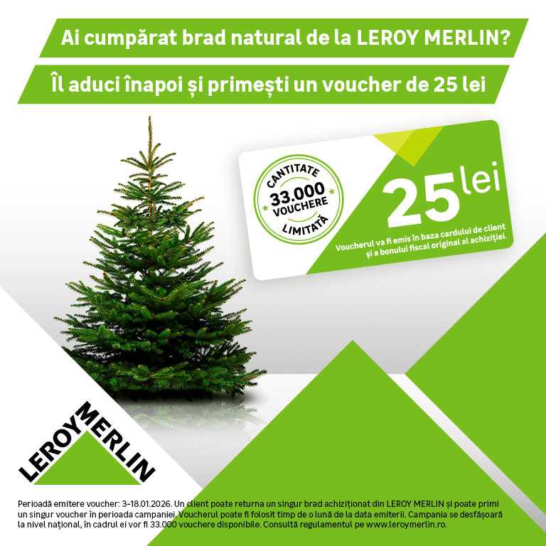 Clienții Leroy Merlin pot aduce brazii folosiți de Sărbători în centrele de colectare ale retailerului