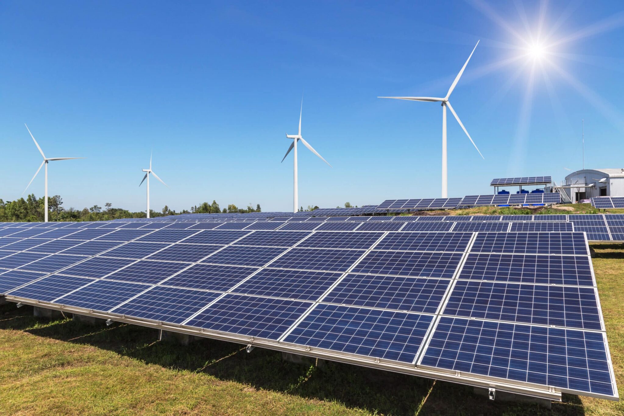 PPC pariază 68,2 mil. lei pe o baterie de 60 MWh în Tulcea pentru a stabiliza rețeaua