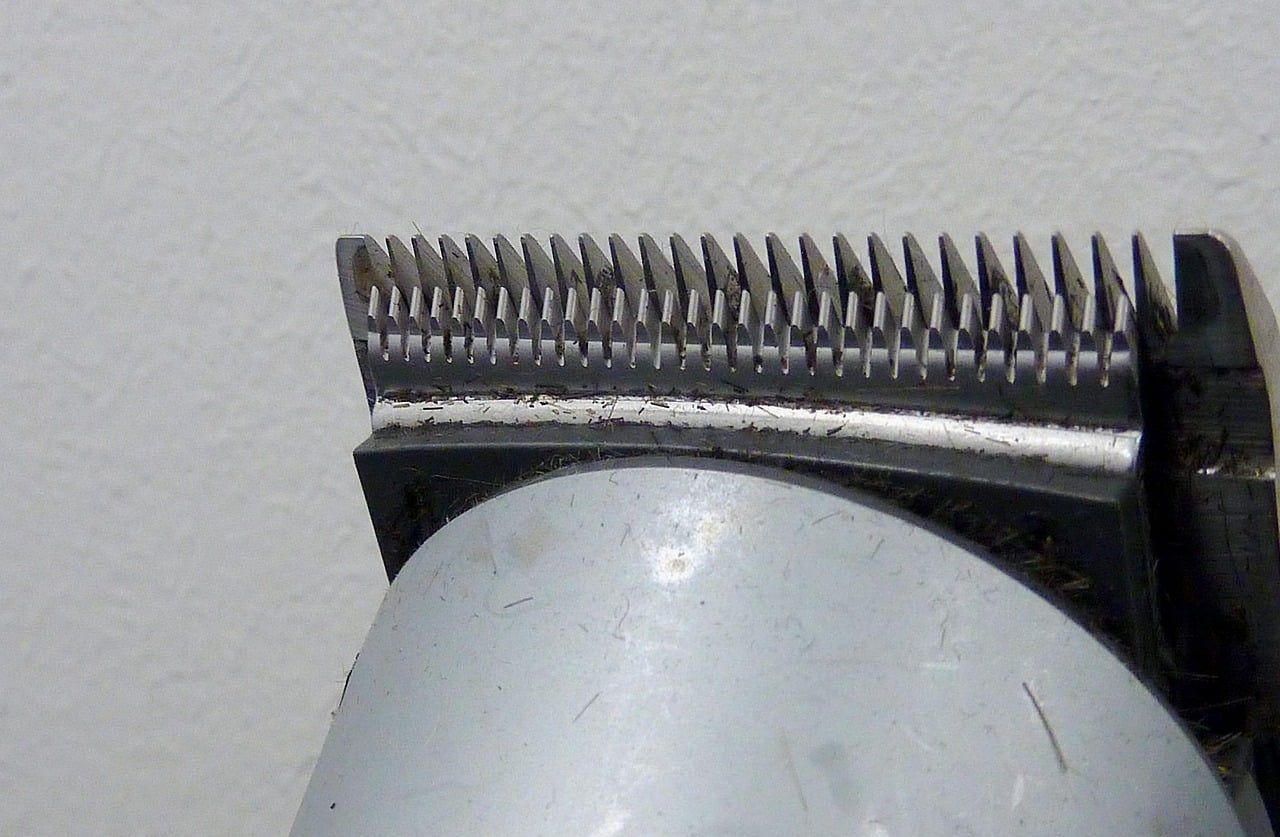 Top 10 modele de trimmer cu acumulator recomandate în 2026