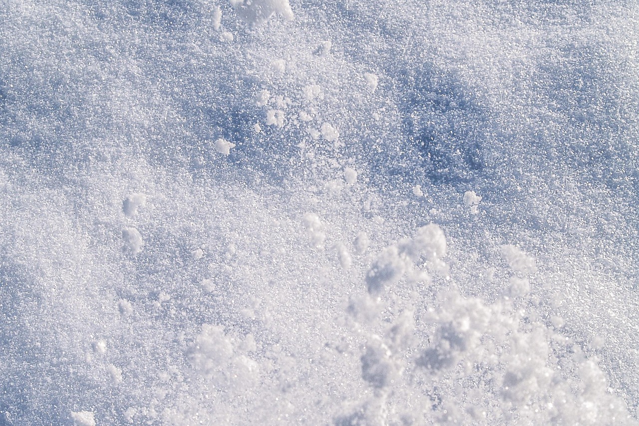 Meteorologii avertizeaza asupra unui posibil vortex polar in martie 2026
