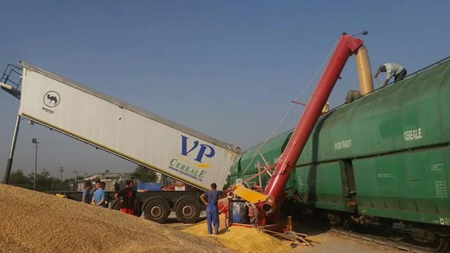Traderul VP Cereale Bz cere falimentul după o prăbușire a afacerilor cu 67%