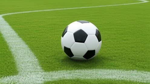 Wisla Cracovia boicotează meciul cu Slask și riscă o înfrângere cu 3-0