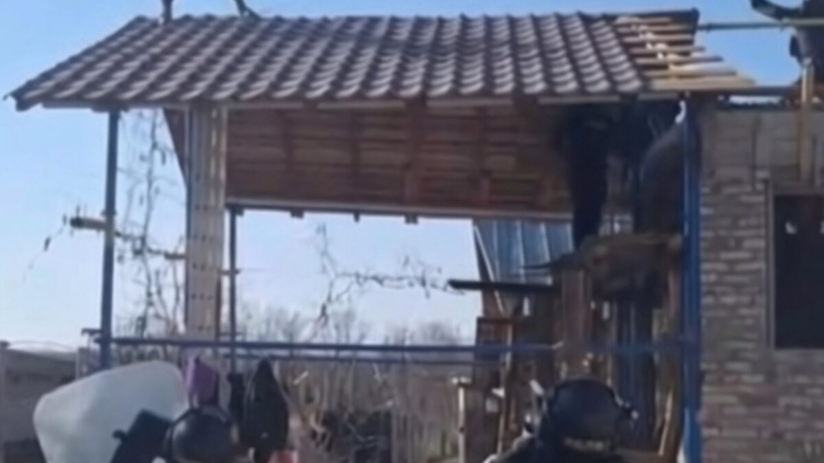 Bărbat din Argeș împușcat în picior după ce a atacat un luptător SAS cu sabia