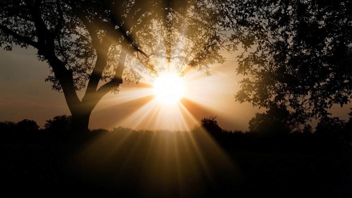 Cercetătorii au o nouă metodă pentru a transforma lumina solară în combustibil
