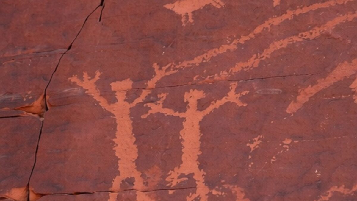 Neanderthalienii foloseau un antibiotic vechi de 180.000 de ani pentru răni
