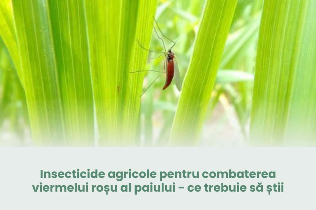 Insecticide agricole pentru combaterea viermelui roșu al paiului – ce trebuie să știi