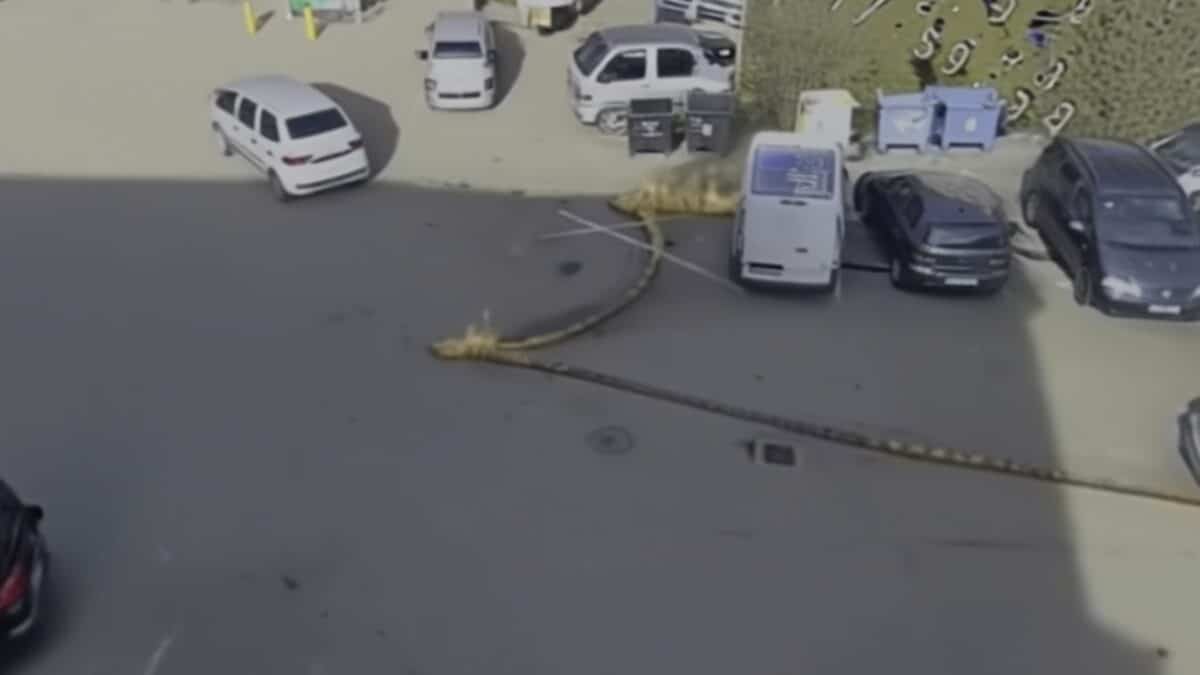 Trei mașini au ars într-o parcare din Orăștie. O femeie a ajuns la spital cu atac de panică