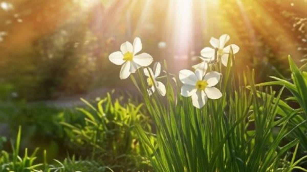 Vreme de primăvară în Capitală cu 14°C. ANM a emis Cod Galben de vânt puternic