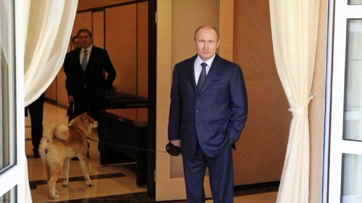 Putin își betonează securitatea la Soci cu o zonă de 3 km² și interdicții bizare