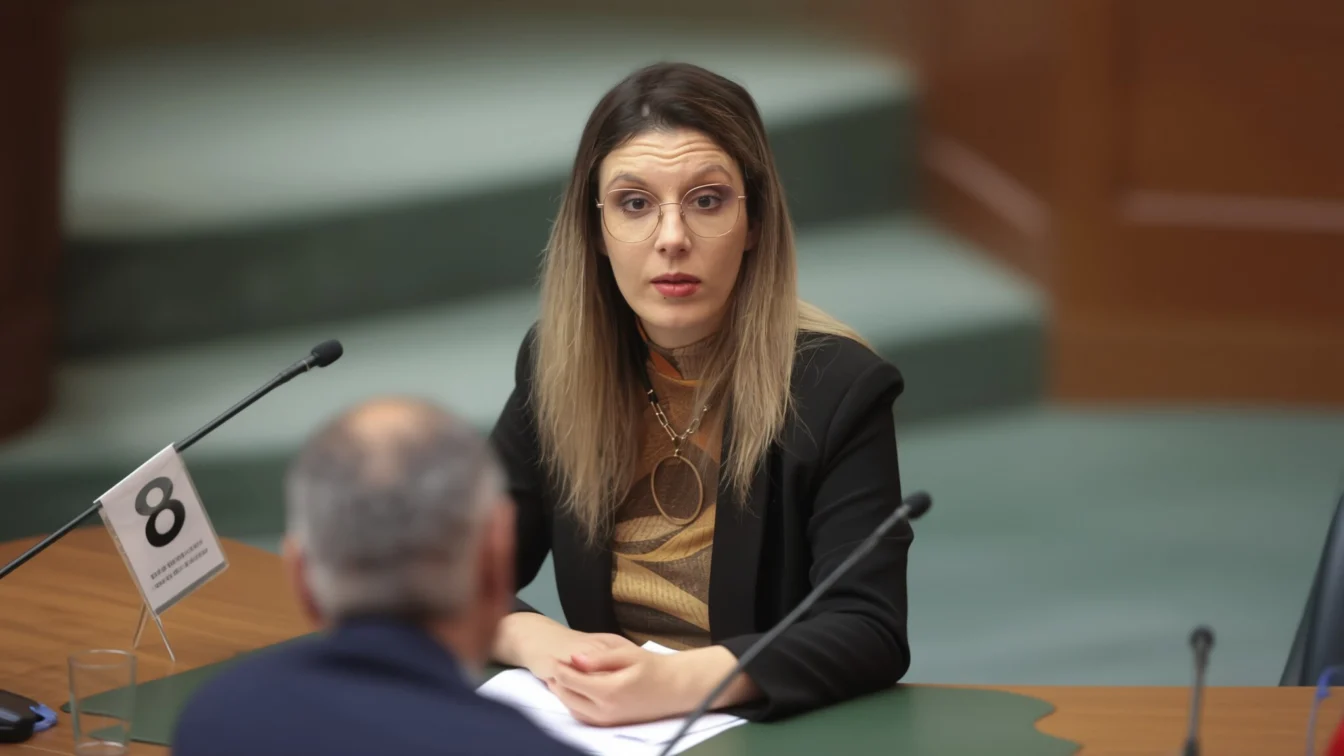 Diana Buzoianu taie 45 de zile din avizele de mediu și cere o nouă strategie energetică