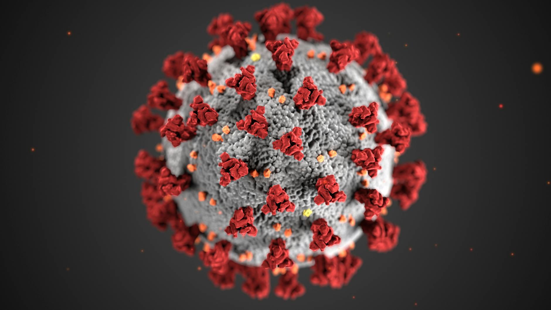 Superbacteriile ar putea provoca 39 de milioane de decese până în 2050 potrivit specialiștilor