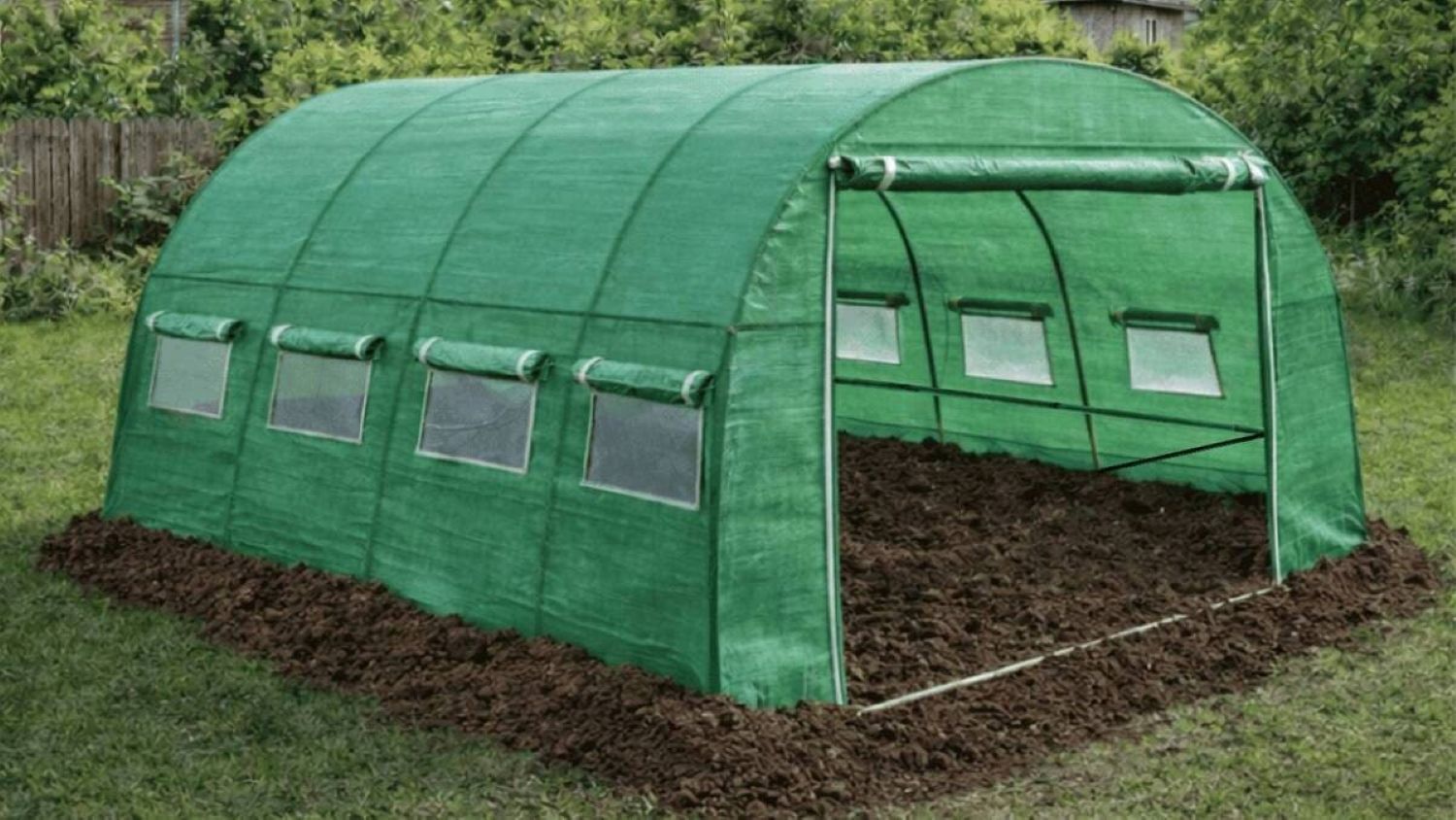 Ce legume se plantează în solar pentru rețete proaspete tot anul? Top 10 culturi ideale pentru grădina ta