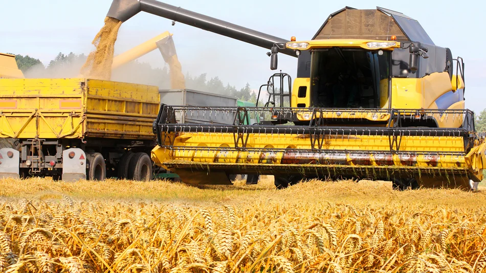 Veste șoc în agrobusiness. Un gigant cu afaceri de 330 milioane lei a intrat în insolvență