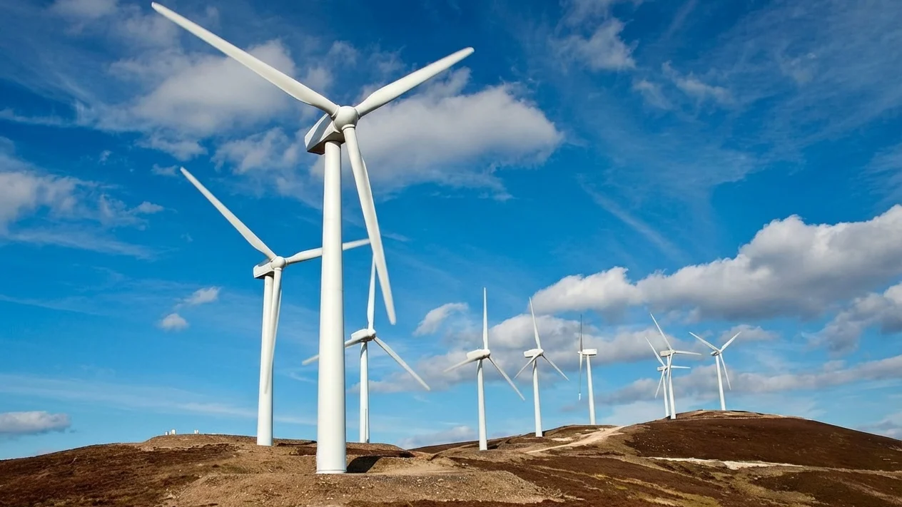 Investitie masiva in Romania. OMV Petrom da drumul la 3 parcuri eoliene de 300 MW