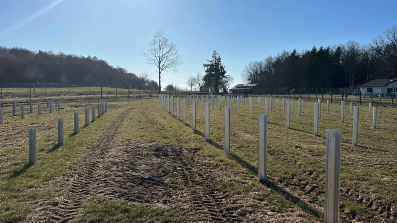 Electrica construiește un parc fotovoltaic de 78,8 MWp și stocare de 18 MWh în Bihor. Investiție de 36,6 milioane euro.