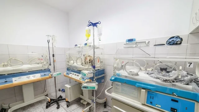 Grupul polonez LuxVet a cumparat 20 de clinici veterinare in Romania. Extindere masiva in doi ani