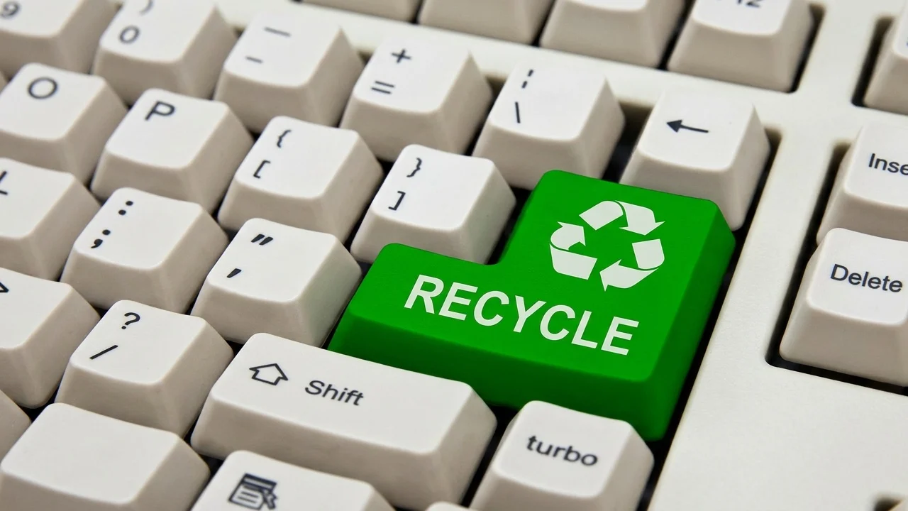 afacere reciclare