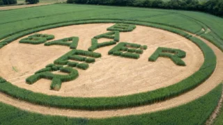 Bayer suspendă clauze comerciale șapte ani. Impactul asupra marjelor fermierilor români.