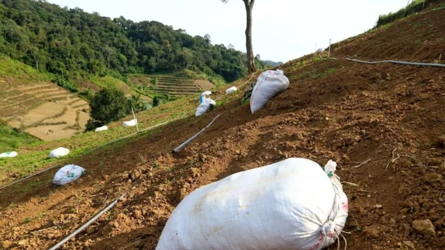 Fermierii români plătesc cel mai mare preț din Europa. Cifrele care anunță scumpiri la raft