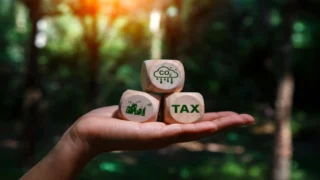 Taxele de mediu, 33,7 miliarde de lei în 2024. Industria prelucrătoare suportă aproape jumătate din povară.