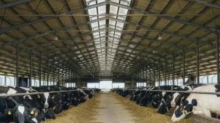 DN Agrar, finanțare de 15,5 milioane euro. Mizează pe dublarea profitului până în 2030