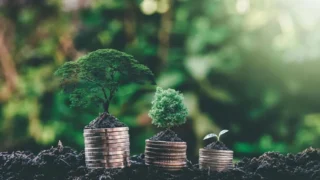 Surpriza financiară de la Ministerul Mediului. Sumele record atrase din fonduri externe în 10 luni