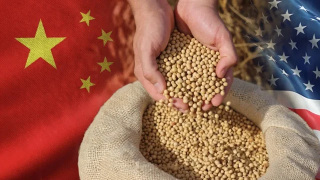 China promite achiziții anuale de 17 miliarde dolari. Piața agricolă globală se adaptează.